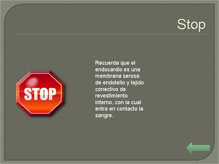 Stop Recuerda que el endocardio es una membrana serosa de endotelio y tejido conectivo