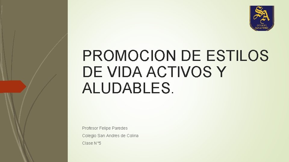 PROMOCION DE ESTILOS DE VIDA ACTIVOS Y ALUDABLES. Profesor Felipe Paredes Colegio San Andres