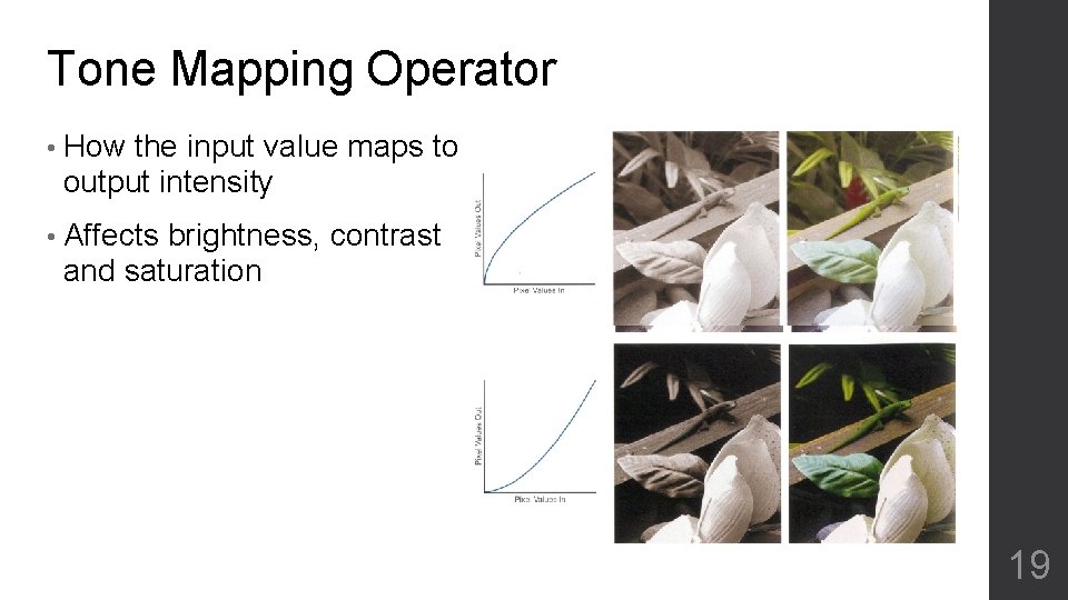 Tone Mapping Operator • How the input value maps to output intensity • Affects Tone Mapping Operator • How the input value maps to output intensity • Affects