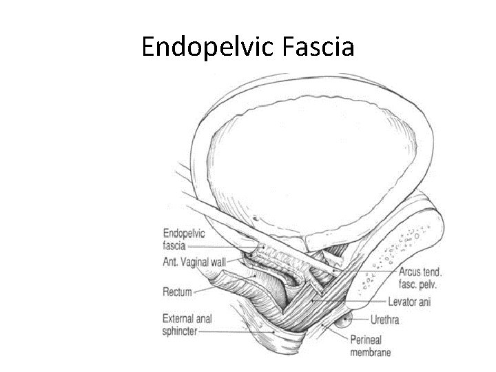 How To Make A Document A File On Phone How To Make A Document A File On Phone