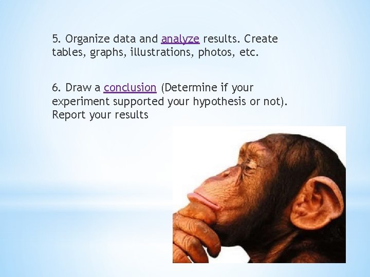 5. Organize data and analyze results. Create tables, graphs, illustrations, photos, etc. 6. Draw