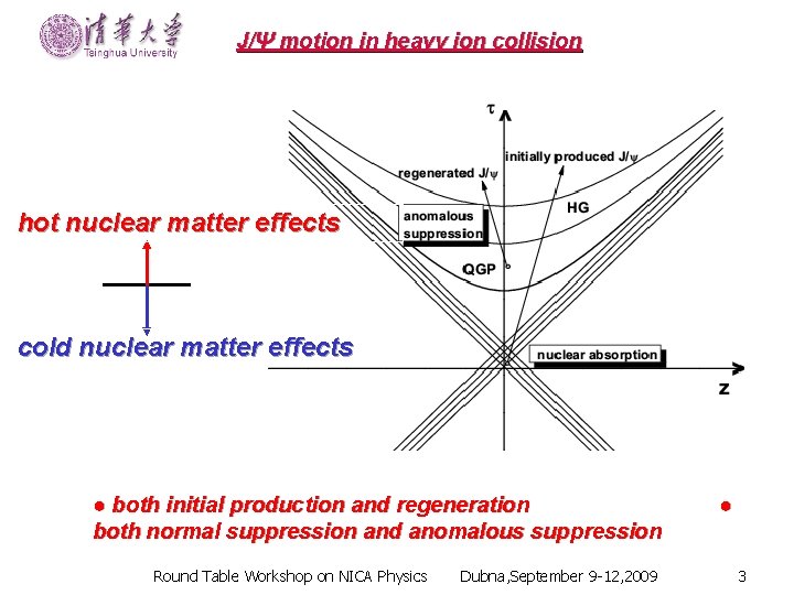 J/Ψ motion in heavy ion collision hot nuclear matter effects cold nuclear matter effects