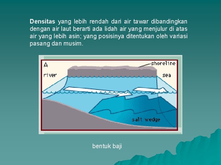 Densitas yang lebih rendah dari air tawar dibandingkan dengan air laut berarti ada lidah