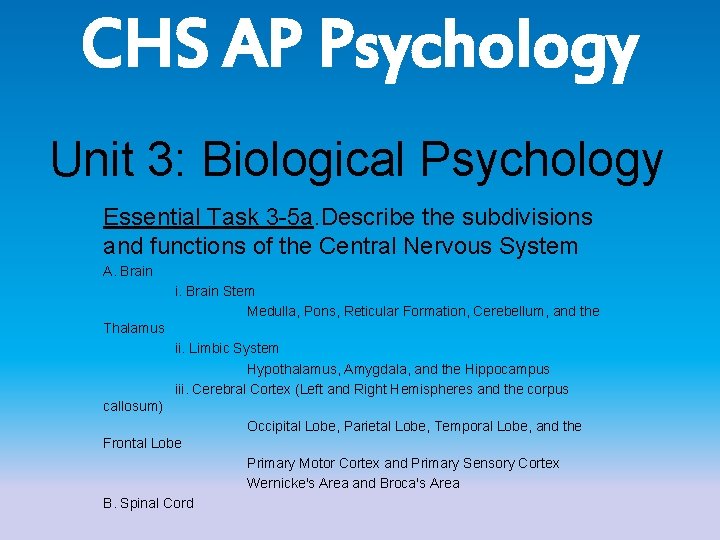 CHS AP Psychology Unit 3: Biological Psychology Essential Task 3 -5 a. Describe the