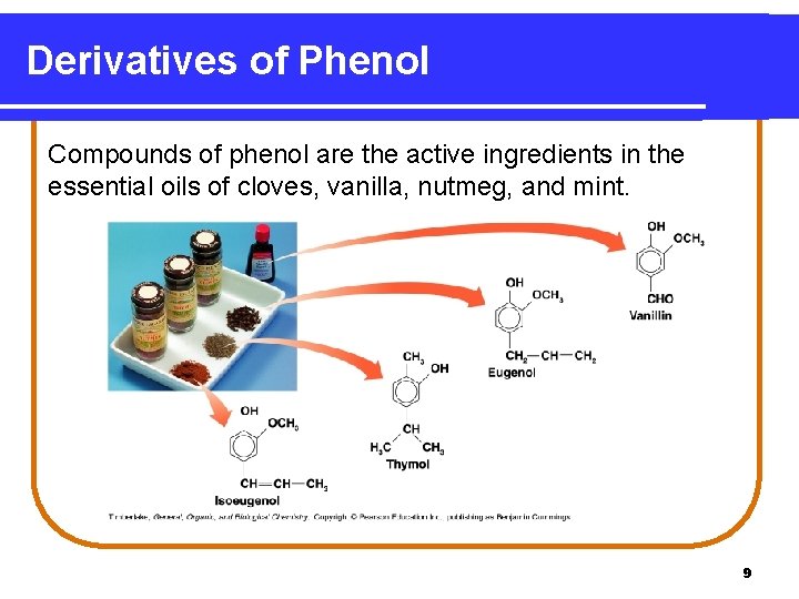 Derivatives of Phenol Compounds of phenol are the active ingredients in the essential oils