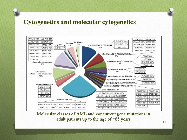 Cytogenetics and molecular cytogenetics Molecular classes of AML and concurrent gene mutations in adult