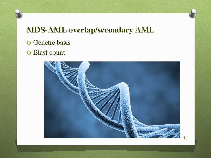 MDS-AML overlap/secondary AML O Genetic basis O Blast count 14 