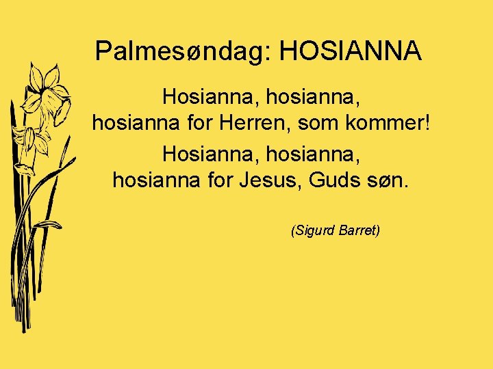 Palmesøndag: HOSIANNA Hosianna, hosianna for Herren, som kommer! Hosianna, hosianna for Jesus, Guds søn.