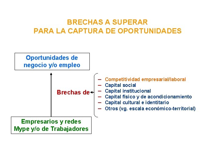 BRECHAS A SUPERAR PARA LA CAPTURA DE OPORTUNIDADES Oportunidades de negocio y/o empleo Brechas