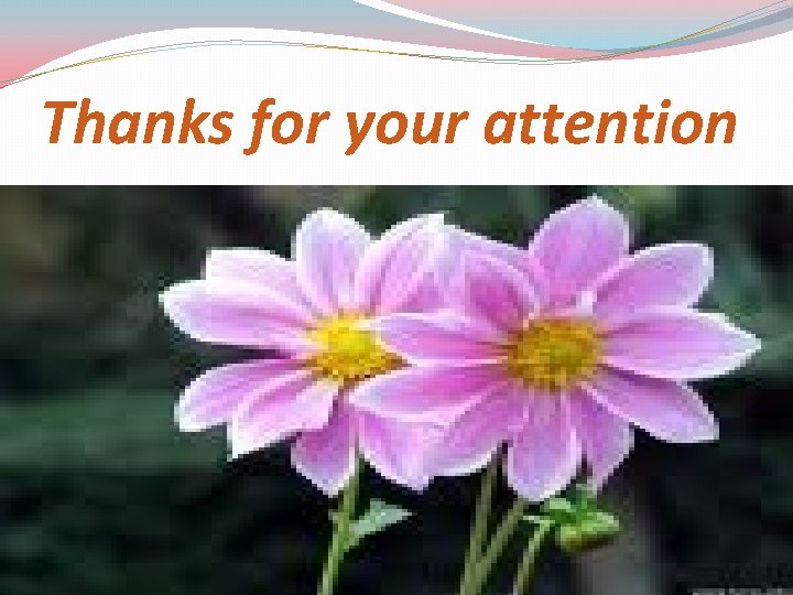 Thanks for your attention 