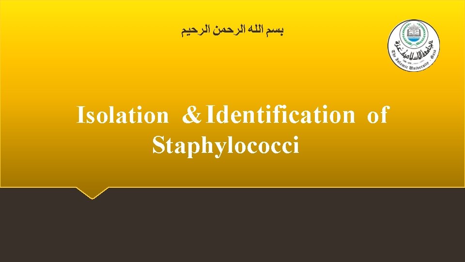  ﺑﺴﻢ ﺍﻟﻠﻪ ﺍﻟﺮﺣﻤﻦ ﺍﻟﺮﺣﻴﻢ Isolation & Identification of Staphylococci 