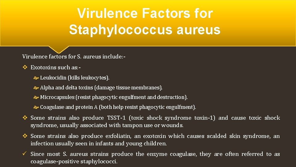 Virulence Factors for Staphylococcus aureus Virulence factors for S. aureus include: - v Exotoxins