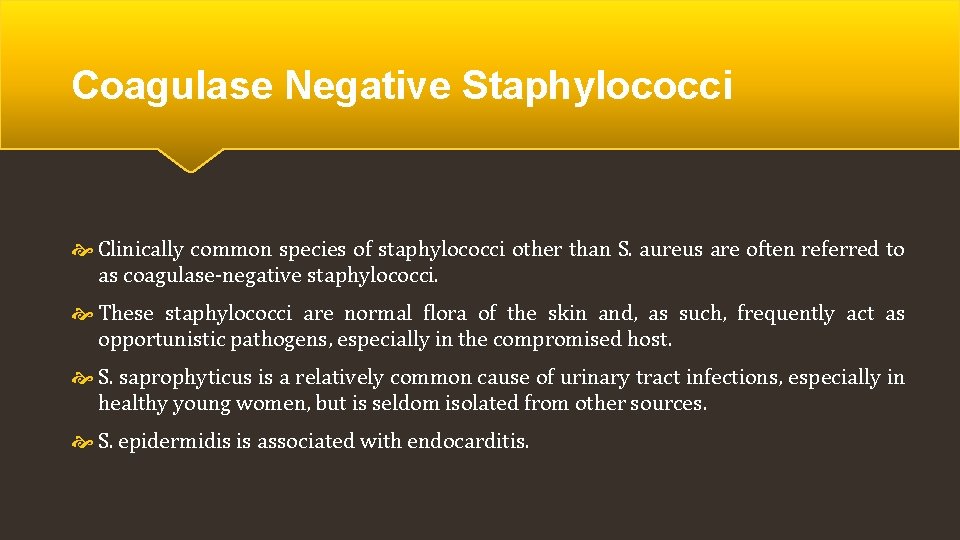 Coagulase Negative Staphylococci Clinically common species of staphylococci other than S. aureus are often