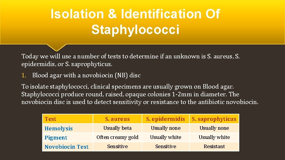 Isolation & Identification Of Staphylococci Today we will use a number of tests to
