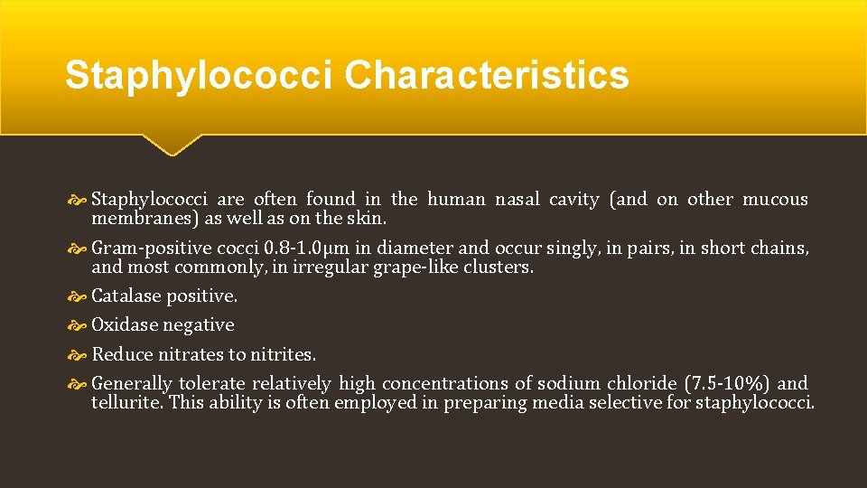 Staphylococci Characteristics Staphylococci are often found in the human nasal cavity (and on other