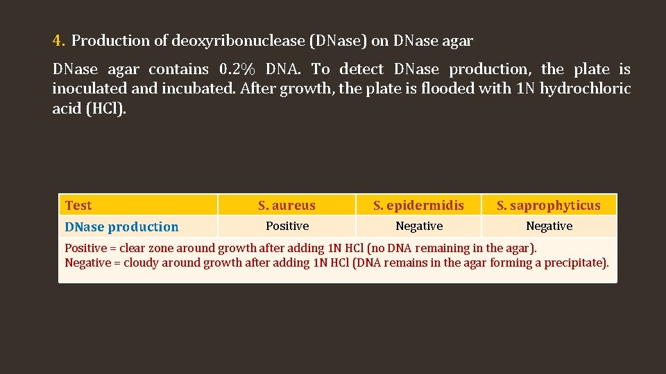 4. Production of deoxyribonuclease (DNase) on DNase agar contains 0. 2% DNA. To detect