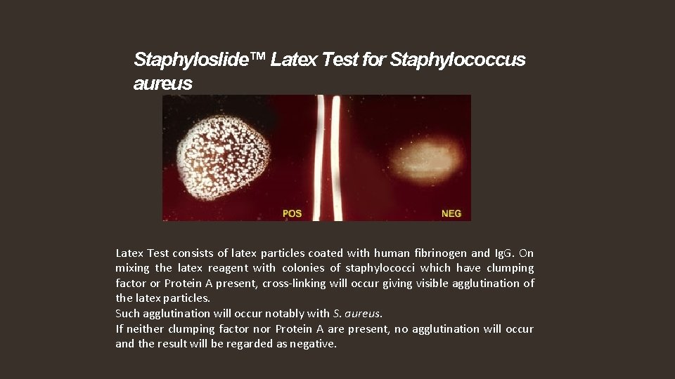 Staphyloslide™ Latex Test for Staphylococcus aureus Latex Test consists of latex particles coated with