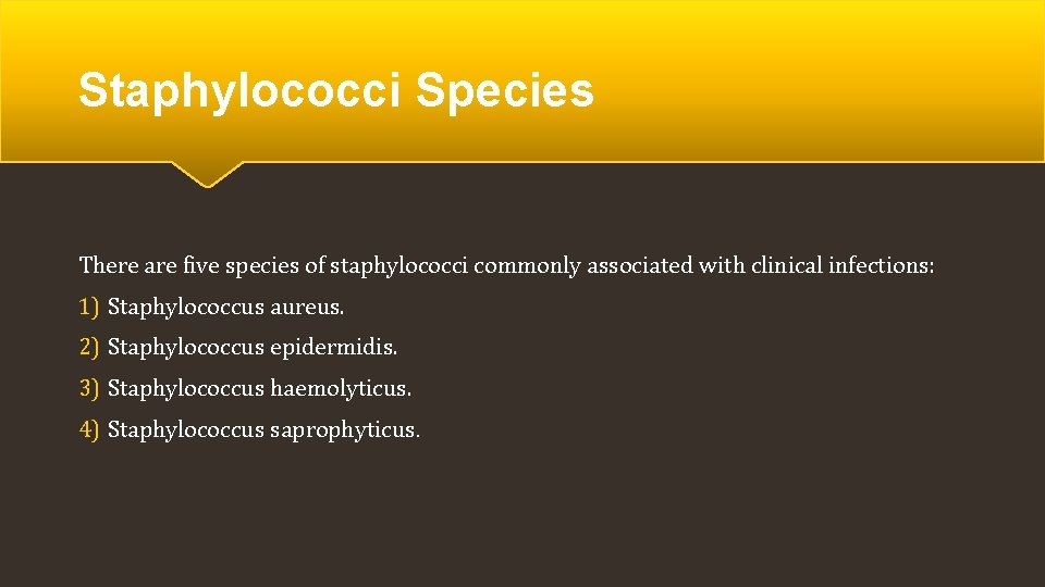 Staphylococci Species There are five species of staphylococci commonly associated with clinical infections: 1)