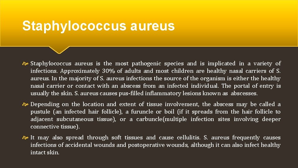 Staphylococcus aureus is the most pathogenic species and is implicated in a variety of
