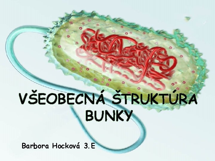 VŠEOBECNÁ ŠTRUKTÚRA BUNKY Barbora Hocková 3. E 