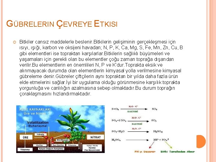 GÜBRELERIN ÇEVREYE ETKISI Bitkiler cansız maddelerle beslenir. Bitkilerin gelişiminin gerçekleşmesi için ısıyı, ışığı, karbon