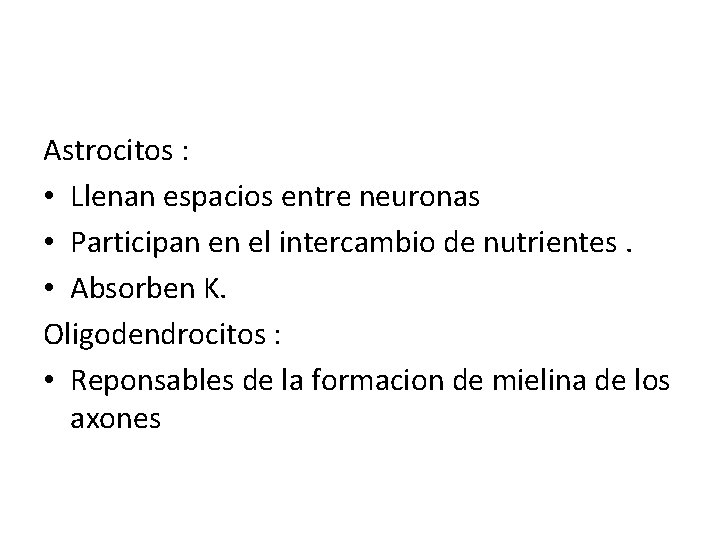 Astrocitos : • Llenan espacios entre neuronas • Participan en el intercambio de nutrientes.
