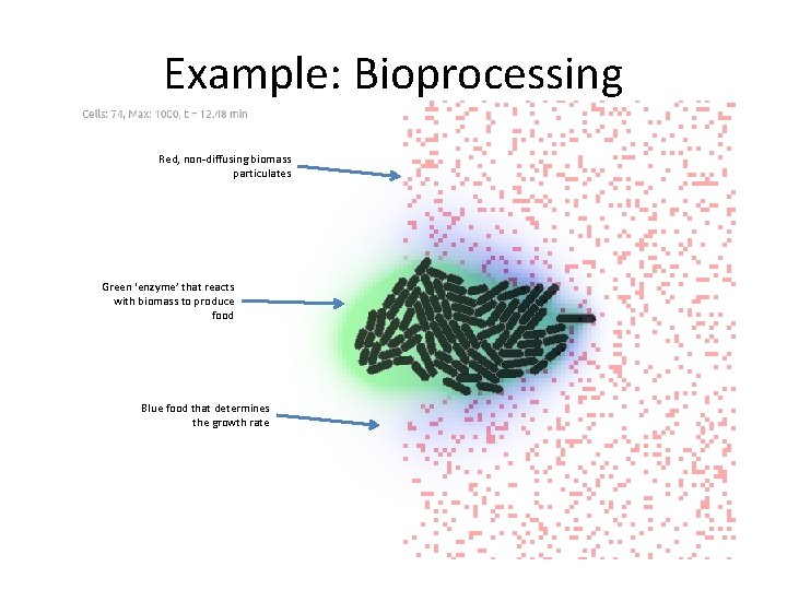 Example: Bioprocessing Red, non-diffusing biomass particulates Green ‘enzyme’ that reacts with biomass to produce