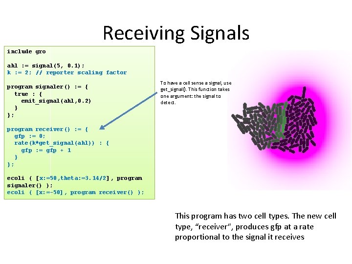 Receiving Signals include gro ahl : = signal(5, 0. 1); k : = 2;