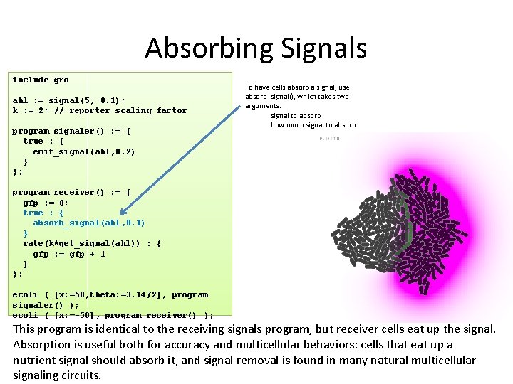 Absorbing Signals include gro ahl : = signal(5, 0. 1); k : = 2;