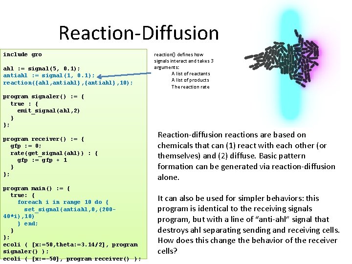 Reaction-Diffusion include gro ahl : = signal(5, 0. 1); antiahl : = signal(1, 0.