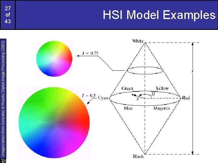 Images taken from Gonzalez & Woods, Digital Image Processing (2002) 27 of 43 HSI