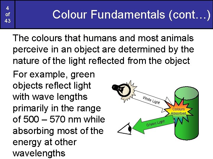 4 of 43 Colour Fundamentals (cont…) The colours that humans and most animals perceive