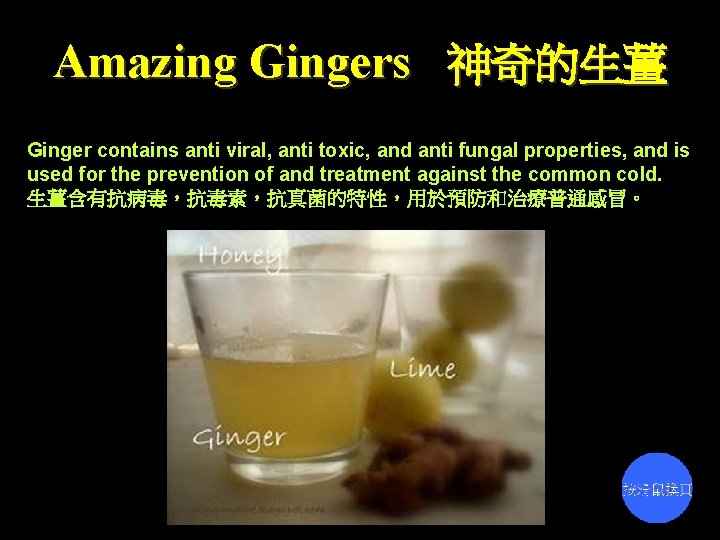 Amazing Gingers 神奇的生薑 Ginger contains anti viral, anti toxic, and anti fungal properties, and