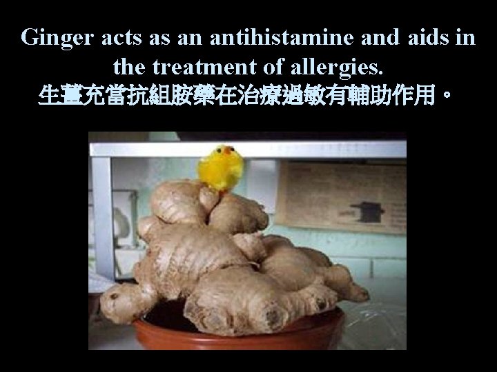 Ginger acts as an antihistamine and aids in the treatment of allergies. 生薑充當抗組胺藥在治療過敏有輔助作用。 