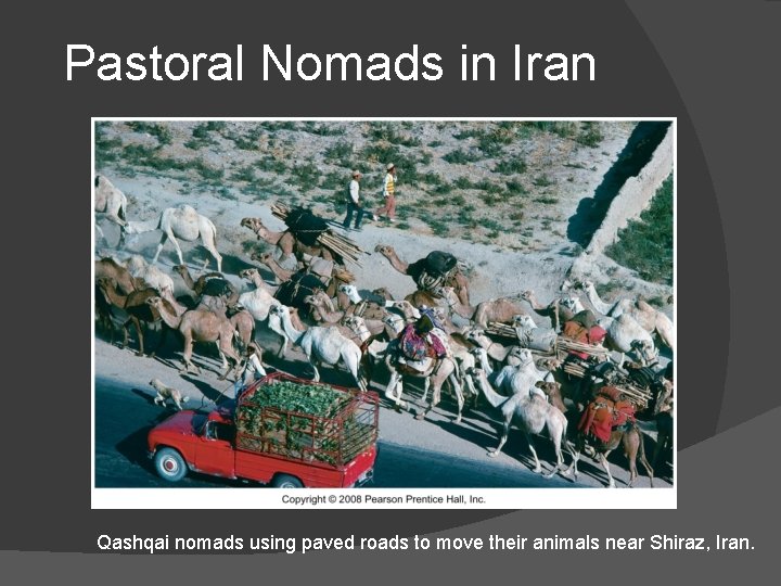 Pastoral Nomads in Iran Qashqai nomads using paved roads to move their animals near