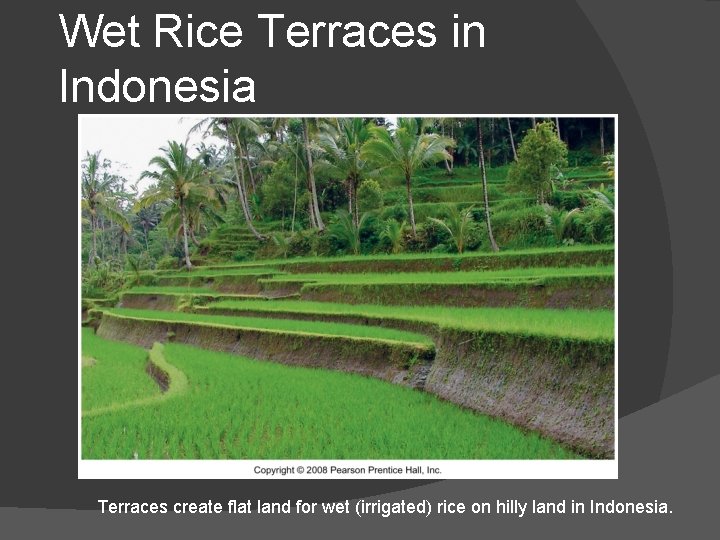 Wet Rice Terraces in Indonesia Terraces create flat land for wet (irrigated) rice on