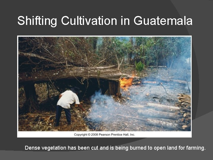 Shifting Cultivation in Guatemala Dense vegetation has been cut and is being burned to