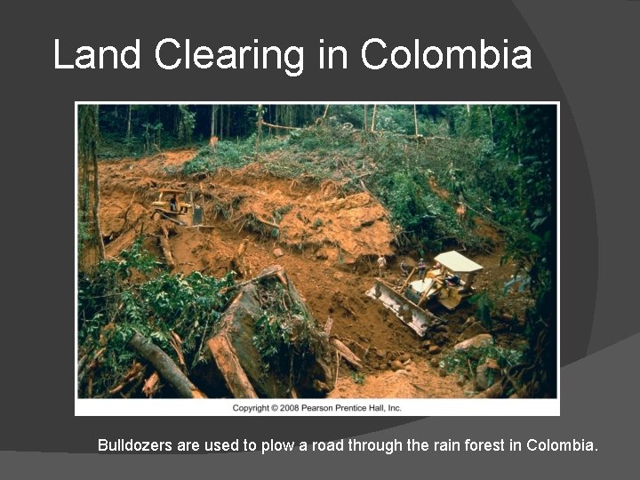 Land Clearing in Colombia Bulldozers are used to plow a road through the rain