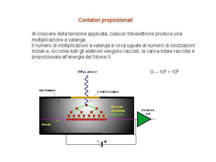 Contatori proporzionali Al crescere della tensione applicata, ciascun fotoelettrone produce una moltiplicazione a valanga.