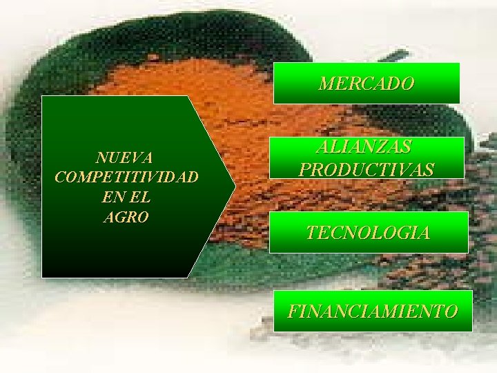 MERCADO NUEVA COMPETITIVIDAD EN EL AGRO ALIANZAS PRODUCTIVAS TECNOLOGIA FINANCIAMIENTO 