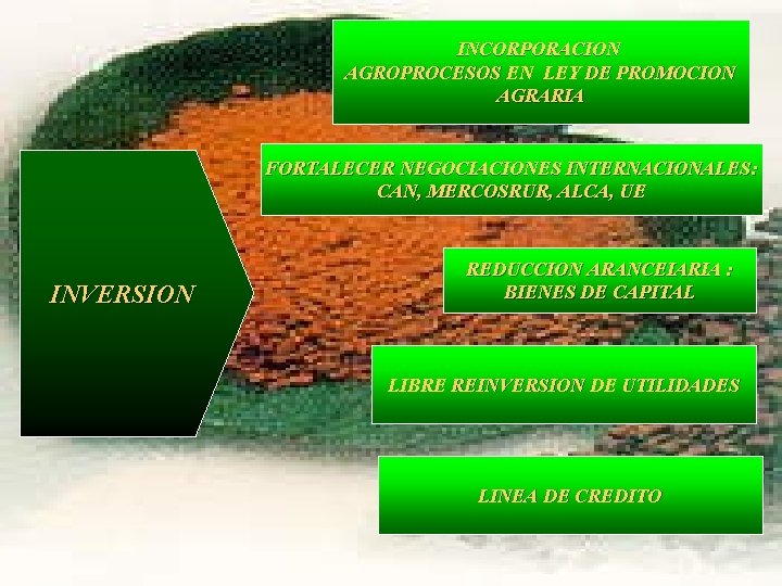 INCORPORACION AGROPROCESOS EN LEY DE PROMOCION AGRARIA FORTALECER NEGOCIACIONES INTERNACIONALES: CAN, MERCOSRUR, ALCA, UE