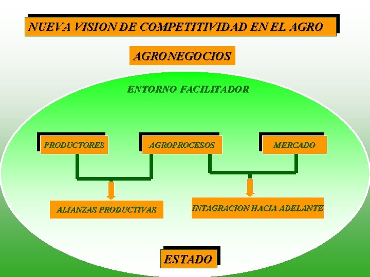 NUEVA VISION DE COMPETITIVIDAD EN EL AGRONEGOCIOS ENTORNO FACILITADOR PRODUCTORES AGROPROCESOS ALIANZAS PRODUCTIVAS MERCADO