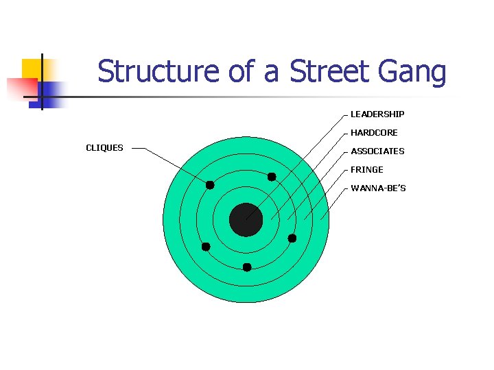 Structure of a Street Gang LEADERSHIP HARDCORE CLIQUES ASSOCIATES FRINGE WANNA-BE’S 