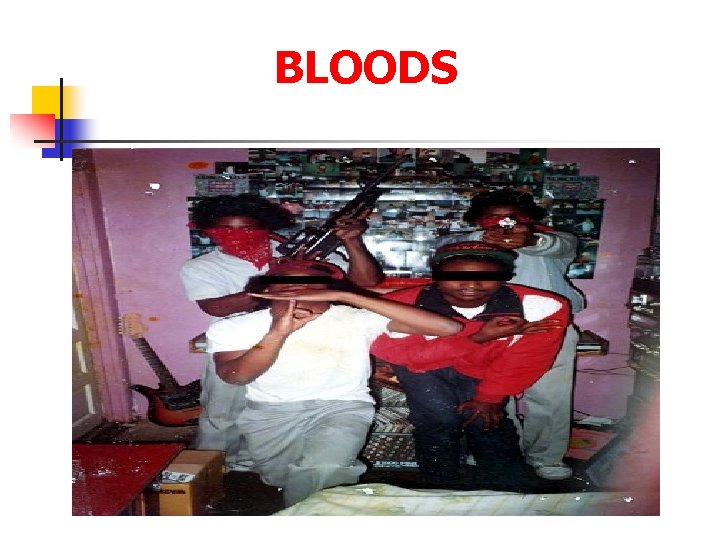 BLOODS 