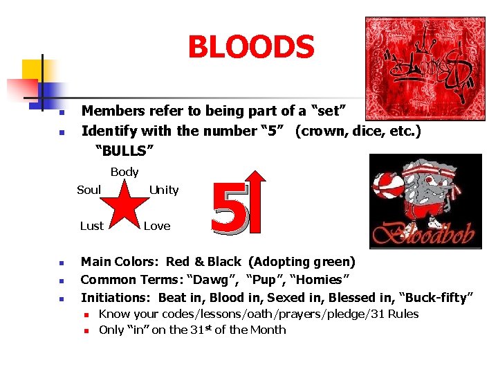 BLOODS n n Members refer to being part of a “set” Identify with the