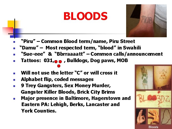 BLOODS n n n n “Piru” – Common Blood term/name, Piru Street “Damu” –