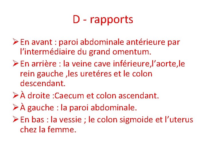 D - rapports Ø En avant : paroi abdominale antérieure par l’intermédiaire du grand