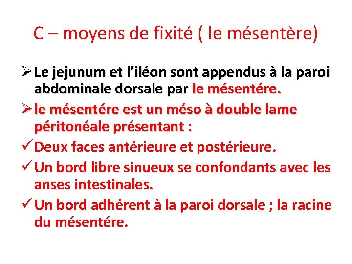 C – moyens de fixité ( le mésentère) Ø Le jejunum et l’iléon sont