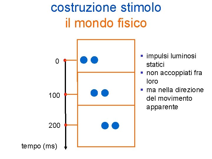 costruzione stimolo il mondo fisico 0 100 200 tempo (ms) § impulsi luminosi statici