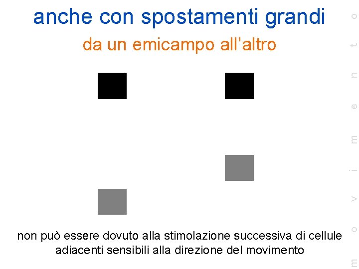 o m non può essere dovuto alla stimolazione successiva di cellule adiacenti sensibili alla